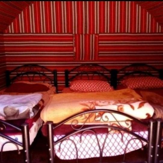 Bedouin Family Camp Hotel Вади Рум Екстериор снимка