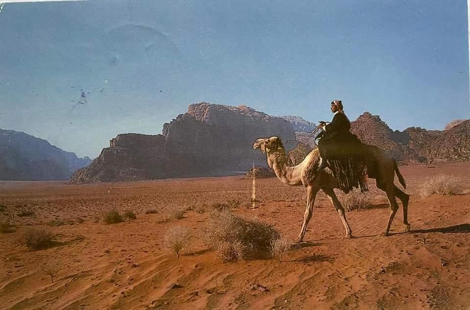 Bedouin Family Camp Hotel Вади Рум Екстериор снимка